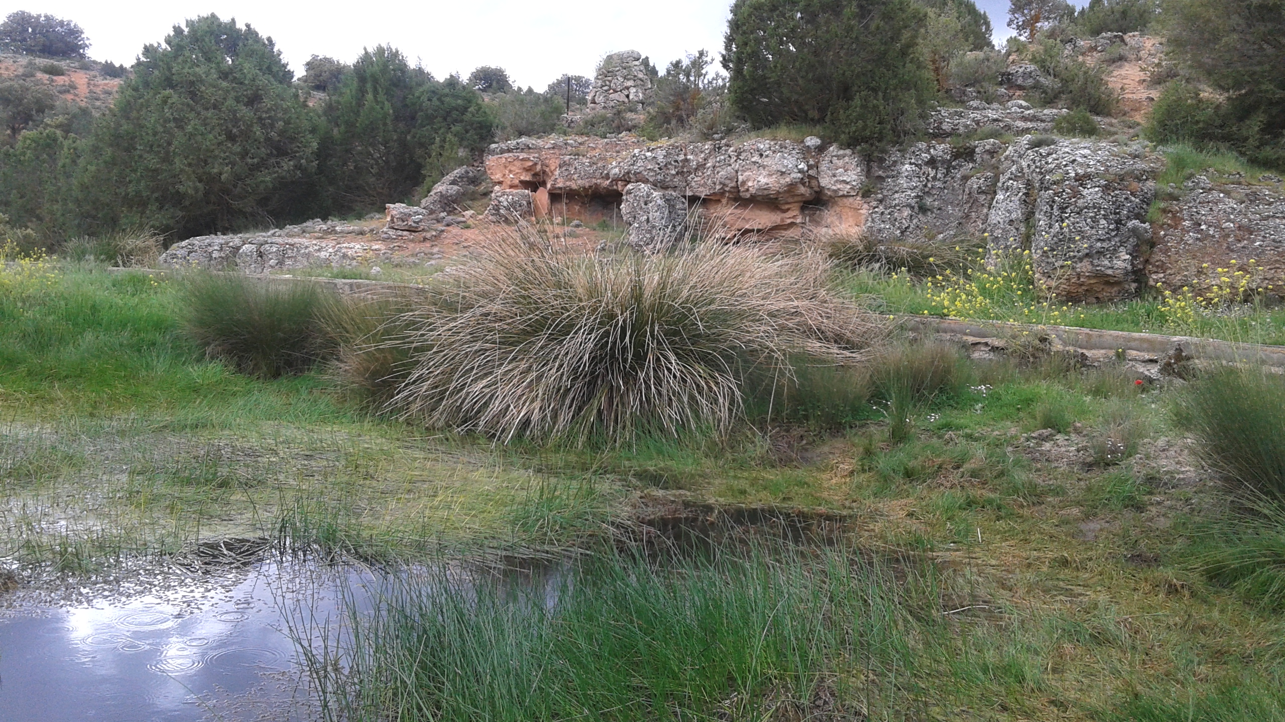 Fuente la Pinilla