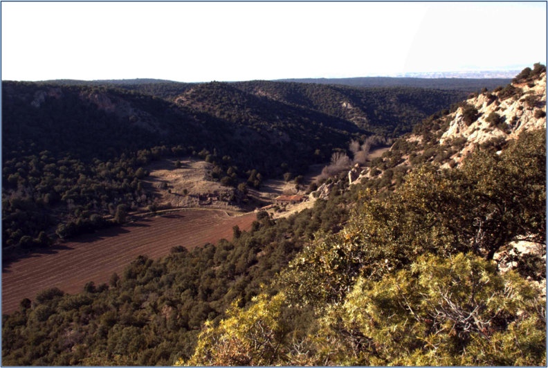 Barranco del Algondrón