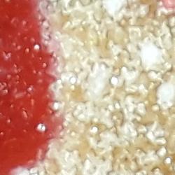 Roscón de San Blas - Santa María de Huerta Roscón de San Blas